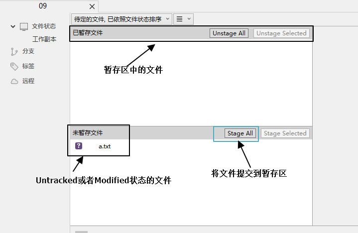 SourceTree的使用