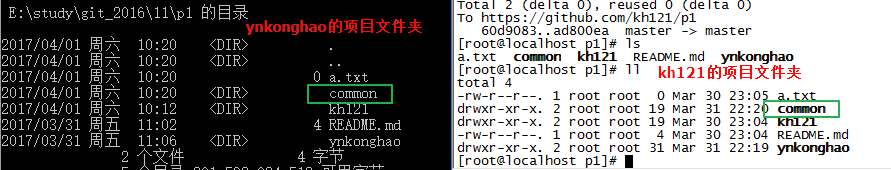 github協(xié)同開發(fā)基礎